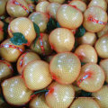 Padrão de Exportação Chinesa Fresh Honey Pomelo